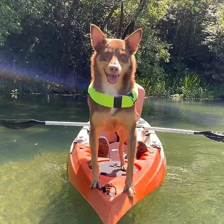 Kemping Super Cute Treehouse By The River Mostar