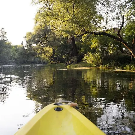 Super Cute Treehouse By The River *
